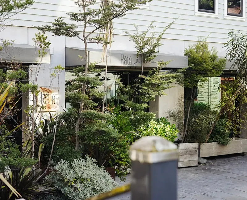 นิวซีแลนด์ เกาะใต้