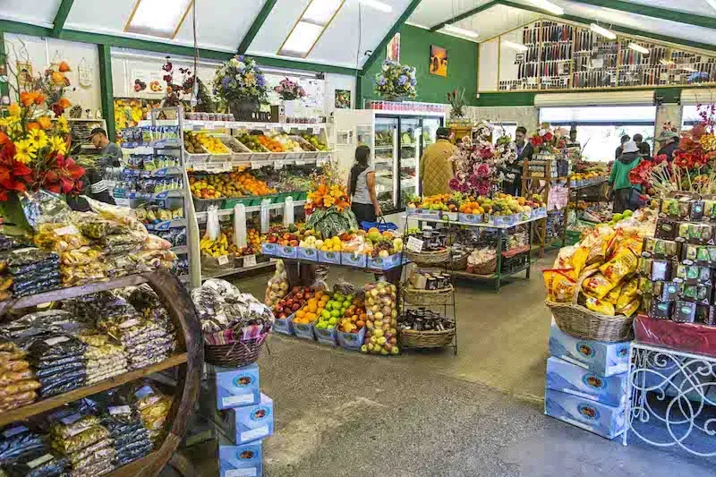 นิวซีแลนด์ เกาะใต้