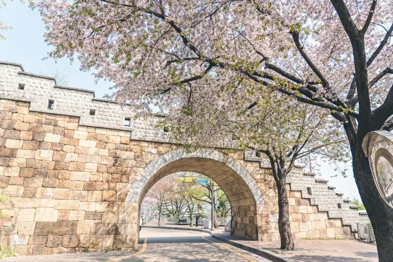 ที่เที่ยวซูวอน เกาหลี