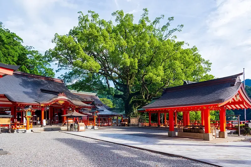 Wakayama ญี่ปุ่น