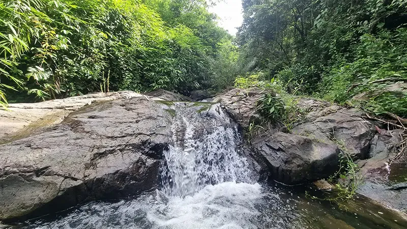 ชุมชนบ้านวังรี นครนายก