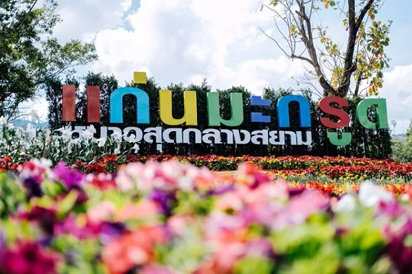 ดอกทิวลิป สวนดอกไม้ ดอกไม้เมืองหนาว