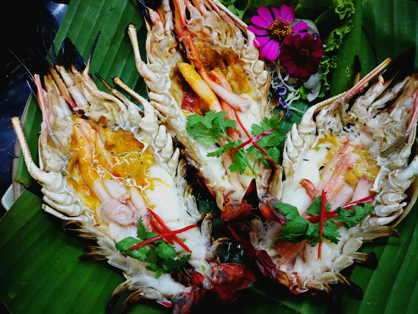 อ้อยหวาน.jpg อ้อยหวาน.jpg