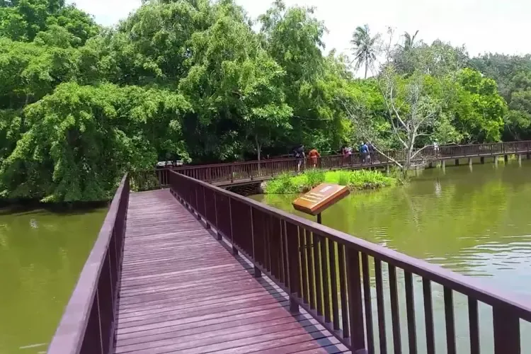 สวนศรีนครเขื่อนขันธ์ หนึ่งในจุดท่องเที่ยวสุดฮิตของบางกะเจ้า สวนศรีนครเขื่อนขันธ์ หนึ่งในจุดท่องเที่ยวสุดฮิตของบางกะเจ้า