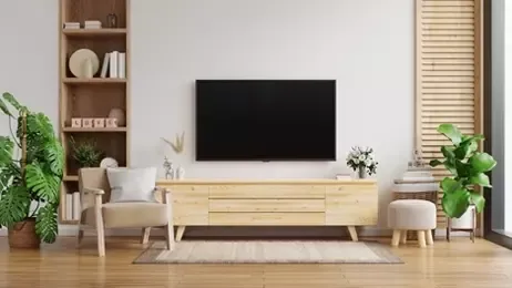 นำต้นไม้มาวางประดับในห้องรับแขก