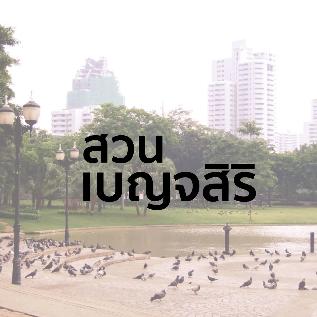 ชวนวอร์มขาให้พร้อม แล้วไป วิ่ง ใน สวน กัน