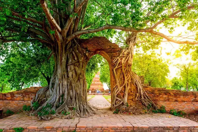 ประตูแห่งกาลเวลา Unseen Thailand ที่วัดพระงาม 