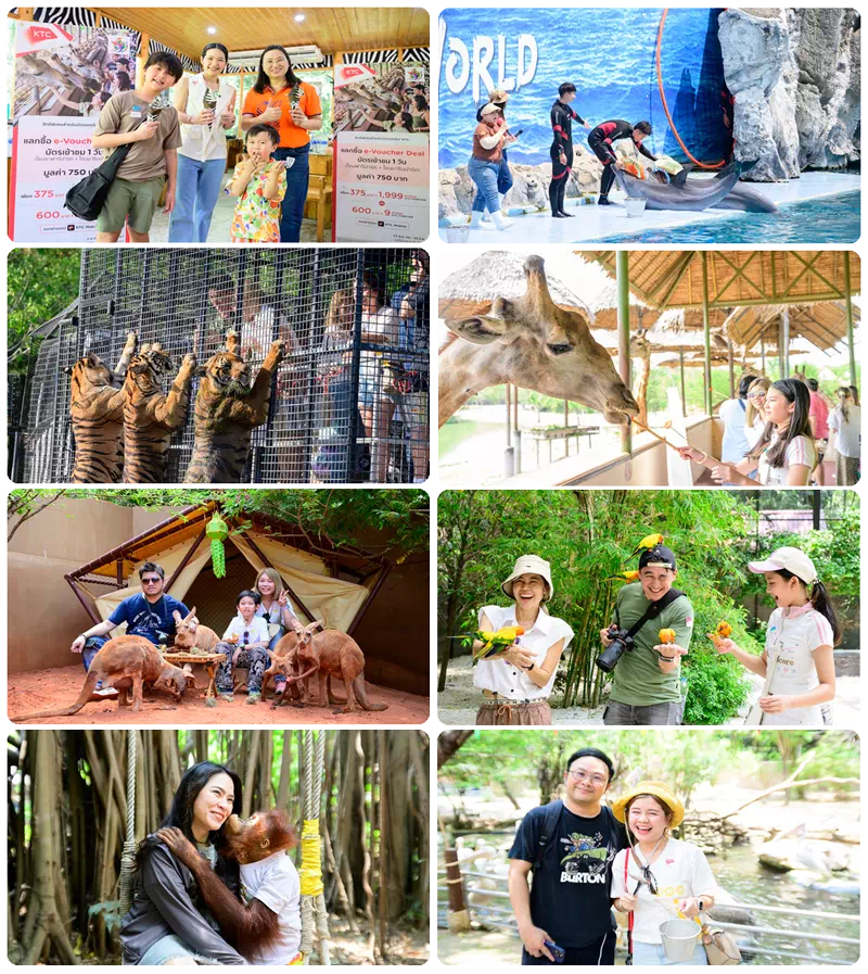 C-2149-KTC-Fun-_-Friend-Family-Day-Safari-World