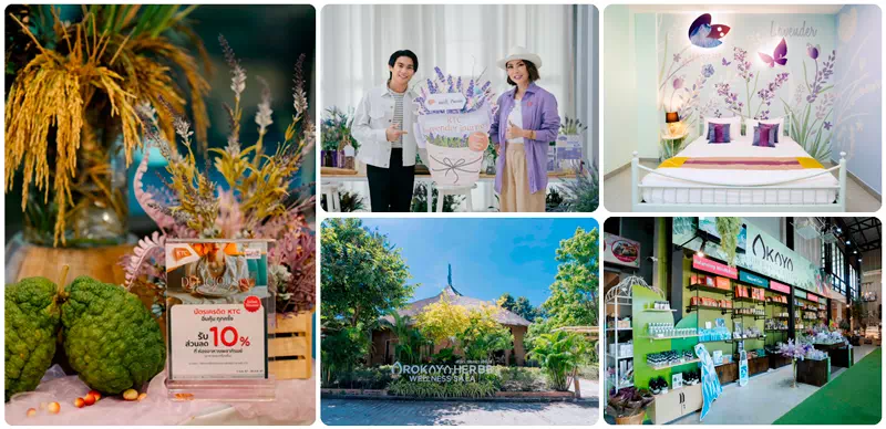 E2-2233-playlaploen E2-2233-playlaploen