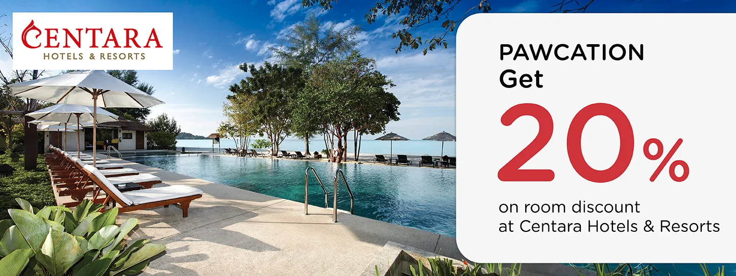 โปรโมชั่น PAWCATION ที่โรงแรมและรีสอร์ทในเครือเซ็นทารา กับบัตรเครดิต KTC