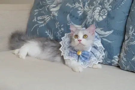 Blu Marine Hua Hin Resort & Villas