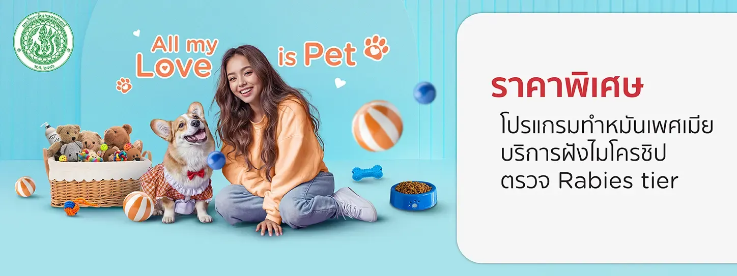 All my LOVE is PET at Kasetsart University Veterinary Teaching Hospital – Hua Hin