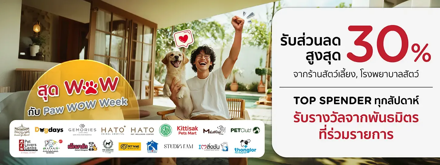 โปรโมชั่น KTC