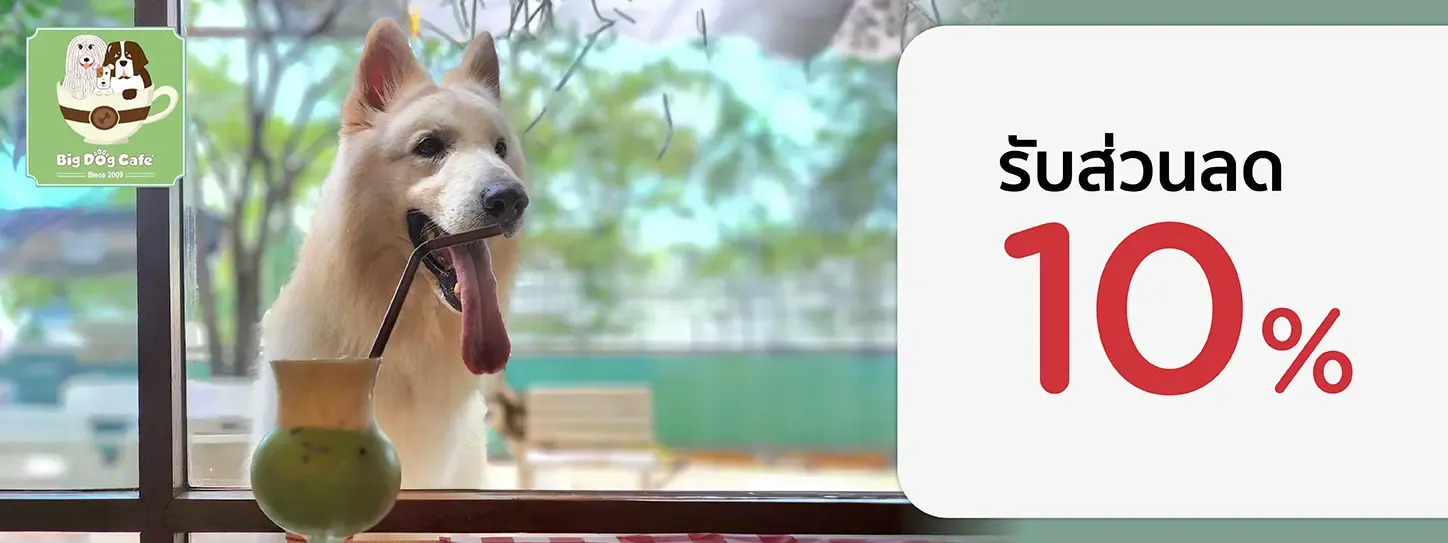 บิ๊กด๊อก คาเฟ่