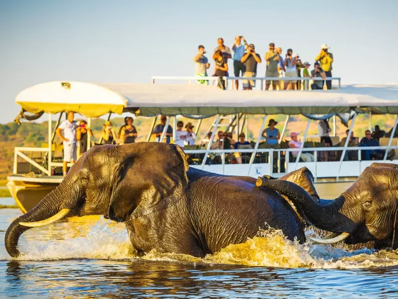 อุทยานแห่งชาติโชบี