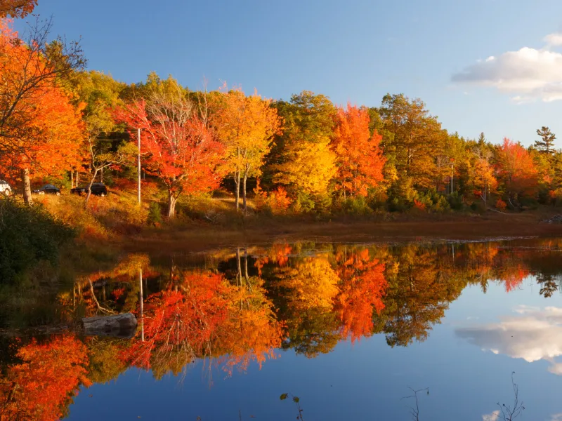 เที่ยวชมปารีส สะพาน Pont Neuf เที่ยวชมปารีส สะพาน Pont Neuf