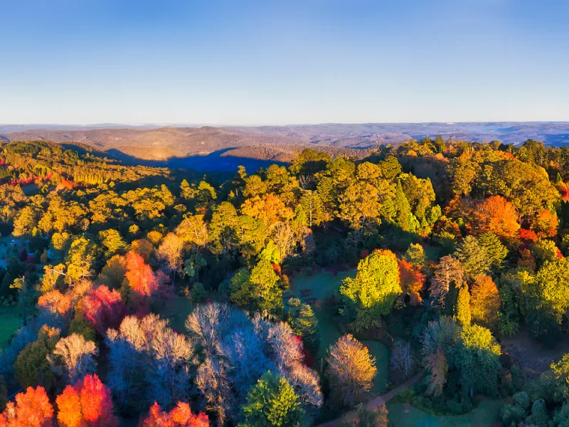 เที่ยวชมปารีส สะพาน Pont Neuf เที่ยวชมปารีส สะพาน Pont Neuf