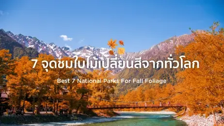 7 จุด check in ชมใบไม้เปลี่ยนสีจากทั่วโลก