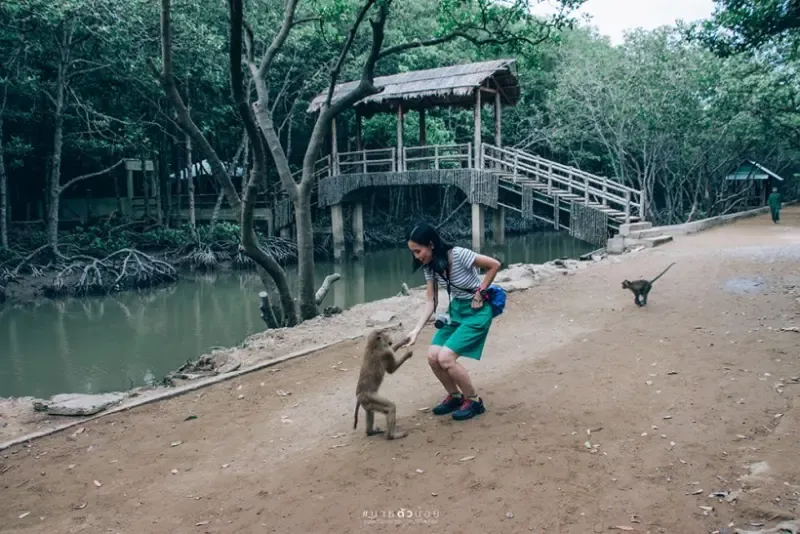 เที่ยวเพชรบุรีชายหาดชะอำ