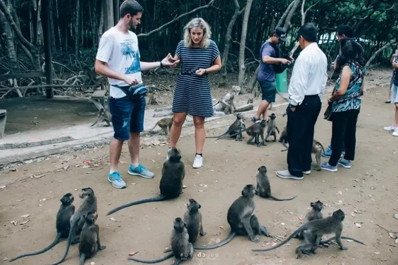 เที่ยวเพชรบุรีชายหาดชะอำ