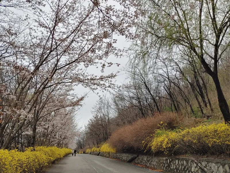 สวนสาธารณะฮานึล