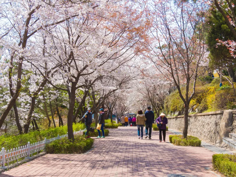 สวนจายู