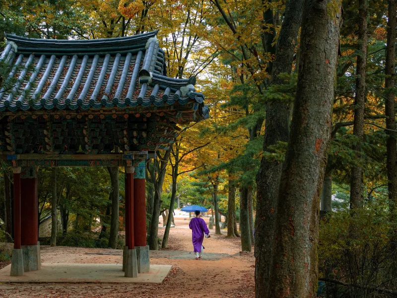 สวนสาธารณะนัมซาน