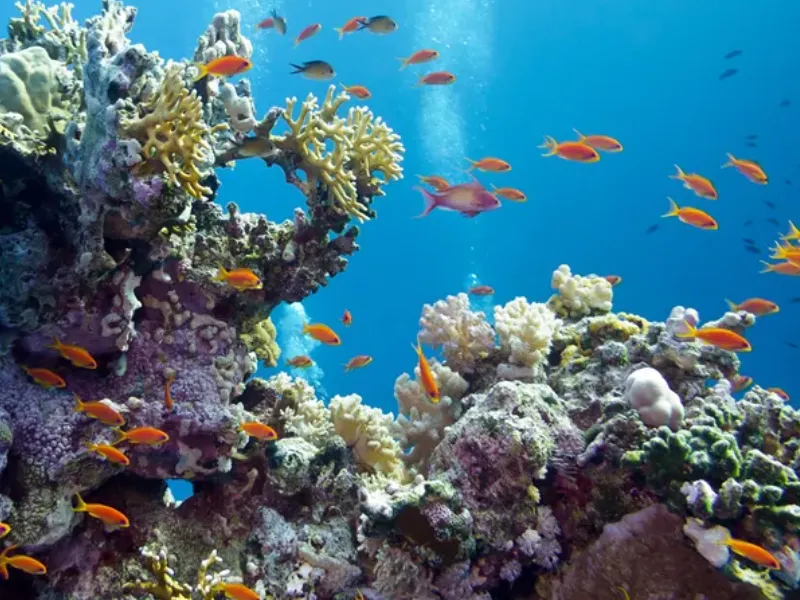 SEALIFE Busan Aquarium