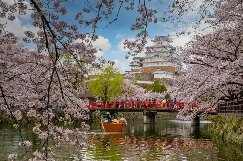 ปราสาทฮิเมจิได้รับการคัดเลือกให้เป็นมรดกโลกด้านวัฒนธรรม