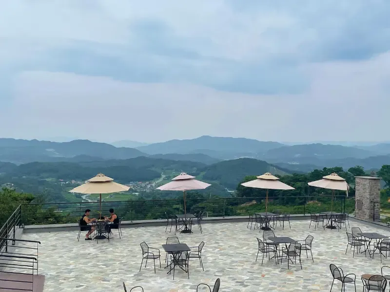 คาเฟ่ SANIDA Cafe เที่ยวเกาหลีต้องไปเช็คอิน