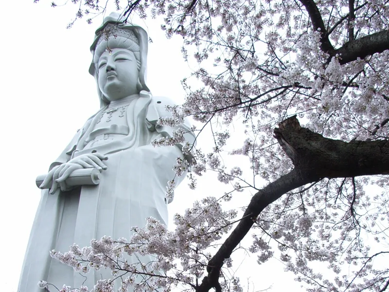 เจ้าแม่กวนอิม Byakui Daikannon Jigen-In กุนมะ