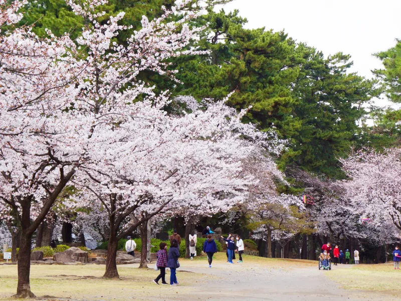 สวนสาธารณะ Shikishima Park