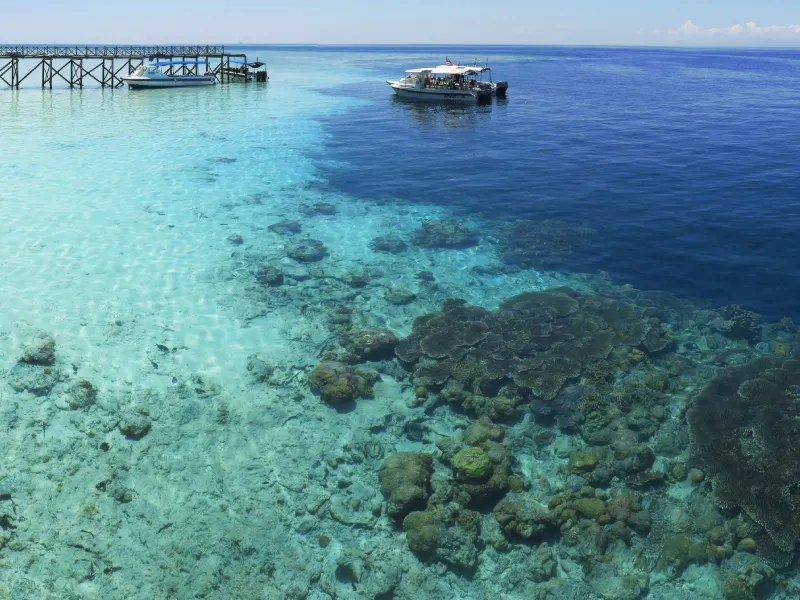 เกาะสิปาดันแห่งมาเลเซีย