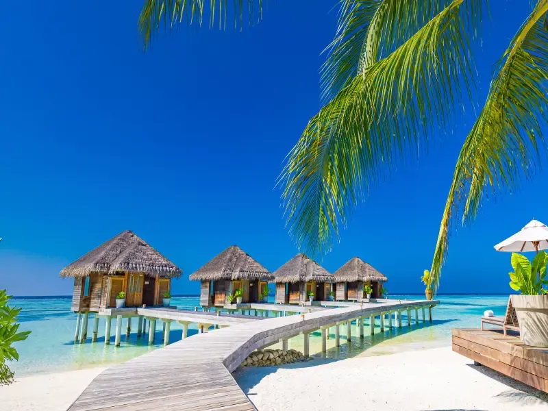 มัลดีฟส์ สวรรค์สุดโรแมนติกของคนรักทะเล มัลดีฟส์ สวรรค์สุดโรแมนติกของคนรักทะเล