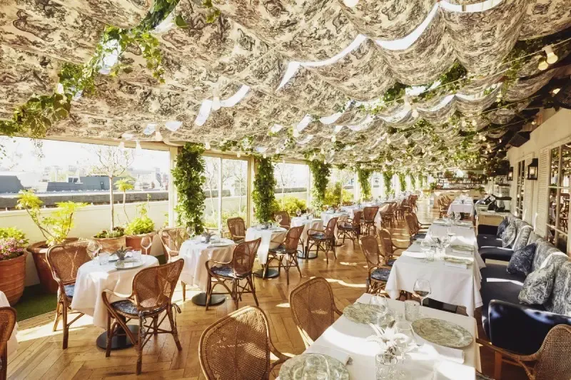 Alto By San Carlo Alto By San Carlo