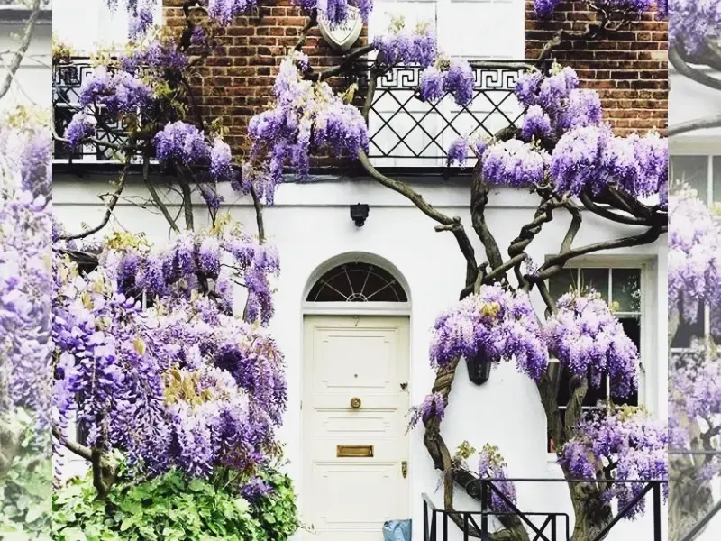ร้านอาหาร Oxford Street ร้านอาหาร Oxford Street