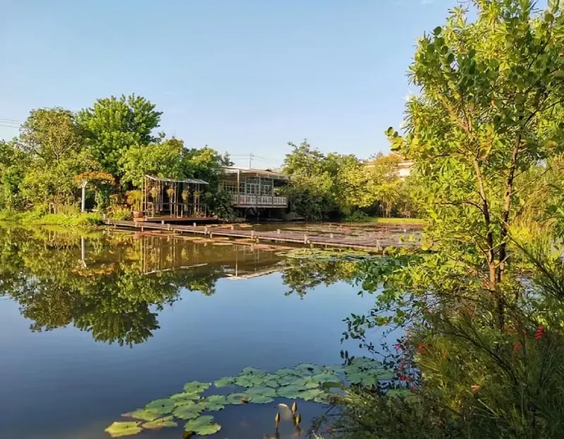 ร้านอาหารธรรมชาติโอชา ร้านอาหารนนทบุรี