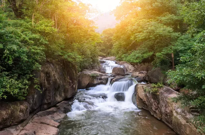 น้ำตกนางรอง