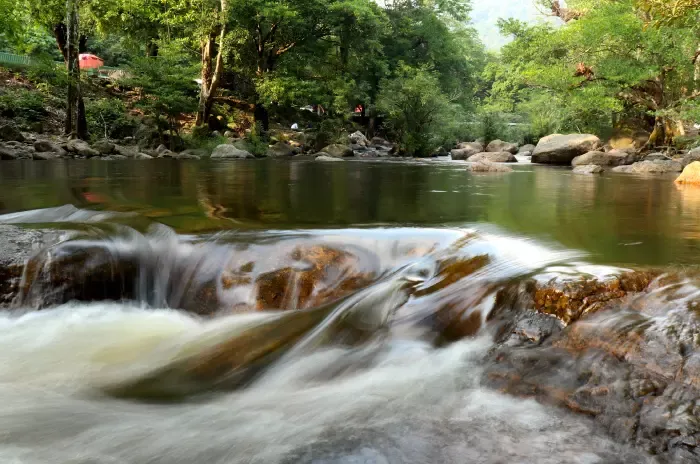 อุทยานวังตะไคร้