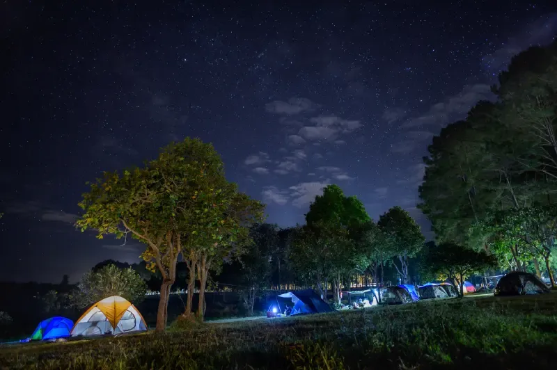 อุทยานแห่งชาติทุ่งแสลงหลวง