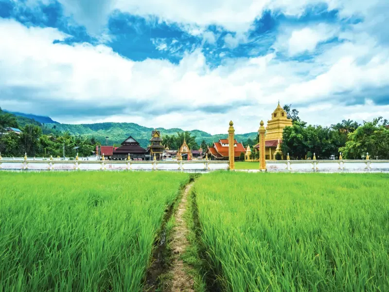 ชุมชนบ้านแสงภา เลย