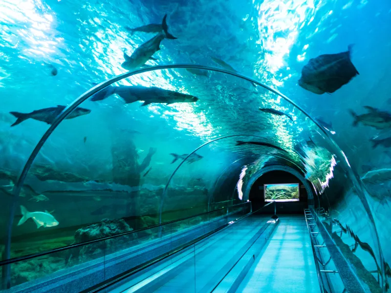 สถานแสดงพันธุ์ปลาน้ำจืดบึงบอระเพ็ด สถานแสดงพันธุ์ปลาน้ำจืดบึงบอระเพ็ด