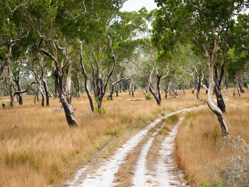 unseen thailand เกาะพระทอง