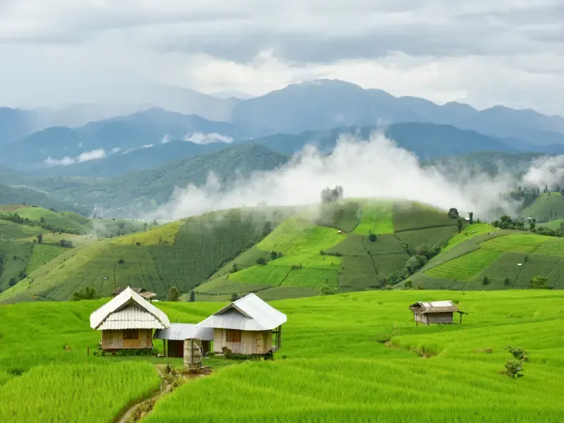 นาขั้นบันได ป่าบงเปียง