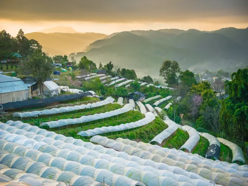 ที่เที่ยวเชียงใหม่ เกษตรหลวงอินทนนท์