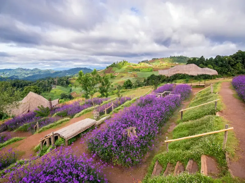 เที่ยวม่อนแจ่ม