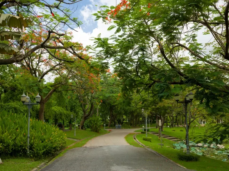 สวนวชิรเบญจทัศ หรือ สวนรถไฟ