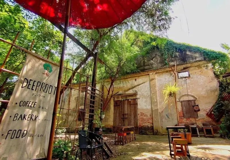 Deep Root Cafe Deep Root Cafe