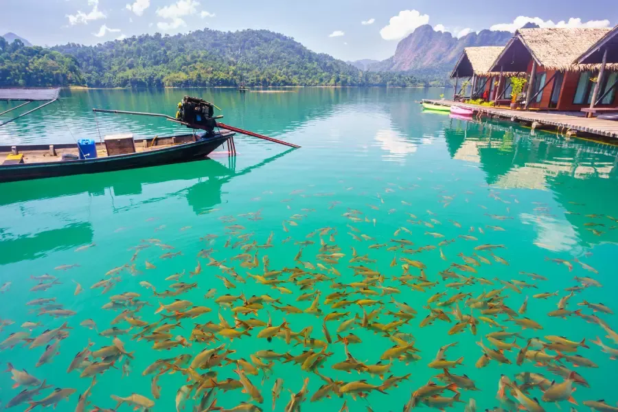 บริเวณโดยรอบเขื่อนเชี่ยวหลาน บริเวณโดยรอบเขื่อนเชี่ยวหลาน