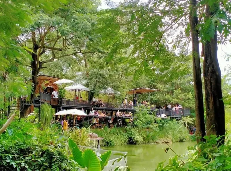 มองช้าง คาเฟ่ มองช้าง คาเฟ่